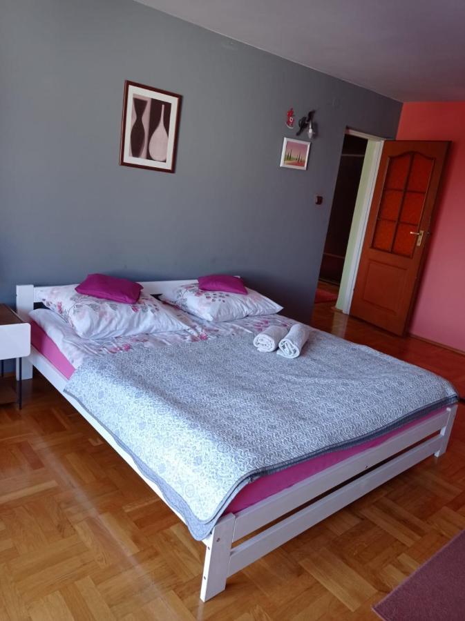 Apartament Pod Leszczyna ساندومييش المظهر الخارجي الصورة