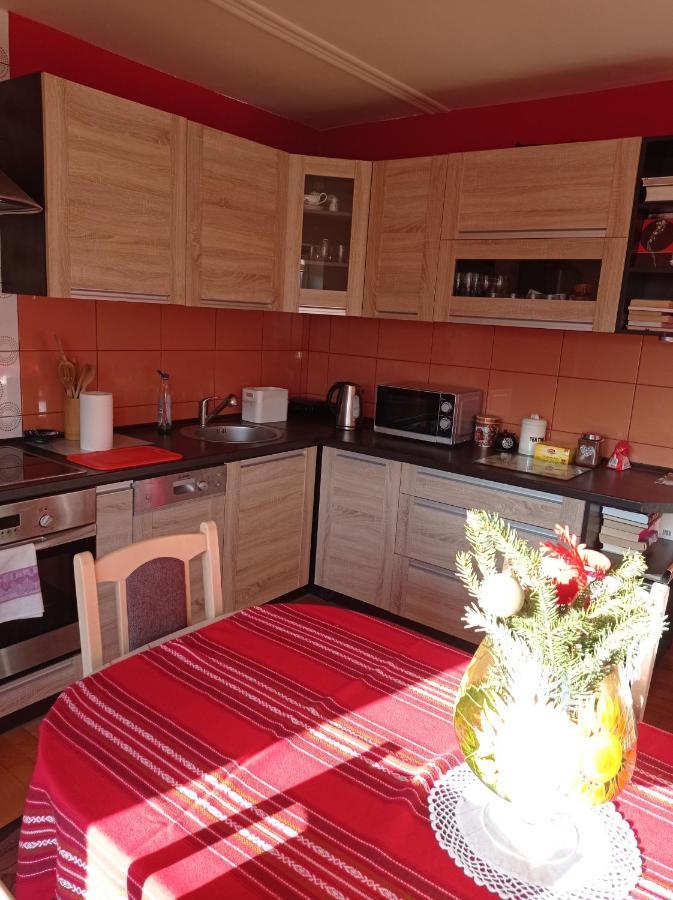 Apartament Pod Leszczyna ساندومييش المظهر الخارجي الصورة