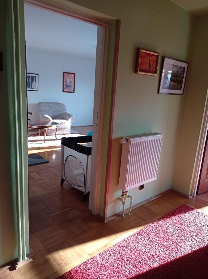 Apartament Pod Leszczyna ساندومييش المظهر الخارجي الصورة