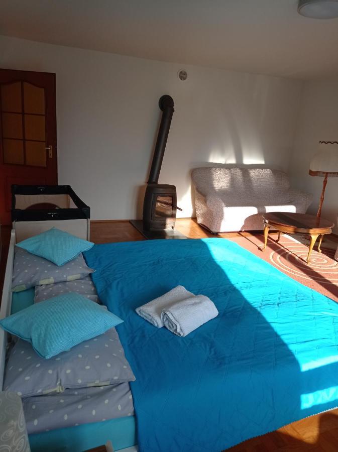 Apartament Pod Leszczyna ساندومييش المظهر الخارجي الصورة